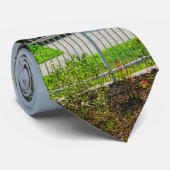 チャールストンハーバーネックタイ ネクタイ (ロール)