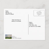 チャールストンハーバーボーツサンセットサンセットサンキューハガキ ポストカード (裏面)