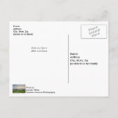 チャールストンハーバーボーツサンセットポストカ空白のード ポストカード (裏面)