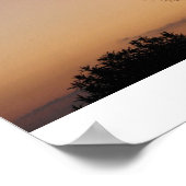 チャールストンパーム ポスター (角)