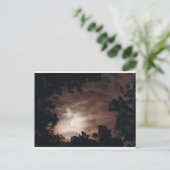 チャールストン上空 ポストカード (スタンド正面)