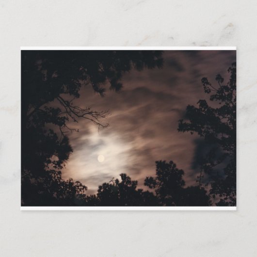 チャールストン上空 ポストカード (正面)