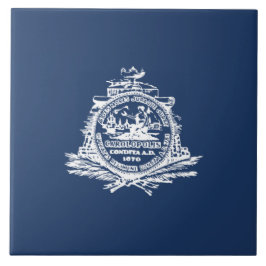 チャールストン国旗（サウスカロライナ） タイル