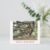 チャールストン近くのエンジェルオークの木, SC ポストカード (スタンド正面)