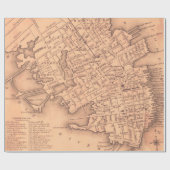 チャールストン・サウスカロライナのヴィンテージの地図（1849年） ラッピングペーパー (フラット)