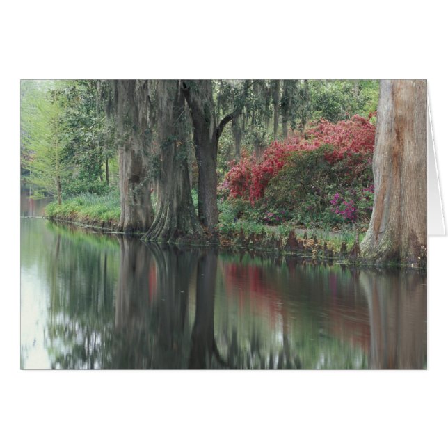 チャールストン・サウスカロライナ (正面横)