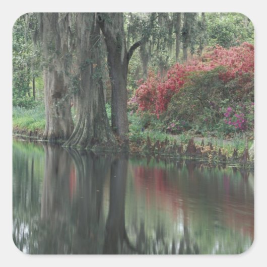 チャールストン・サウスカロライナ スクエアシール (正面)