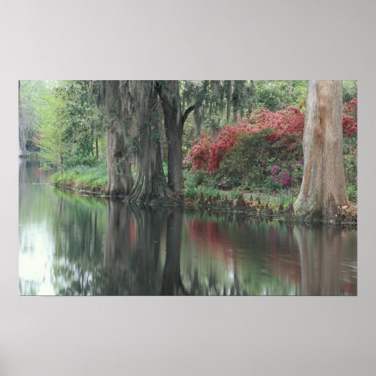 チャールストン・サウスカロライナ ポスター (正面)