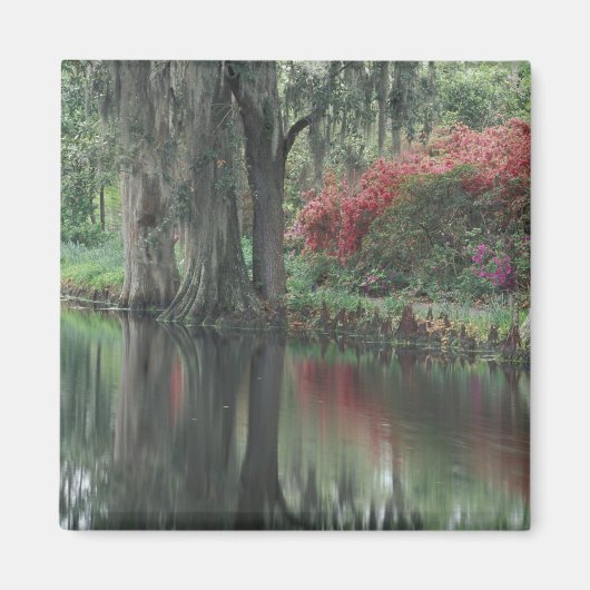 チャールストン・サウスカロライナ マグネット (正面)