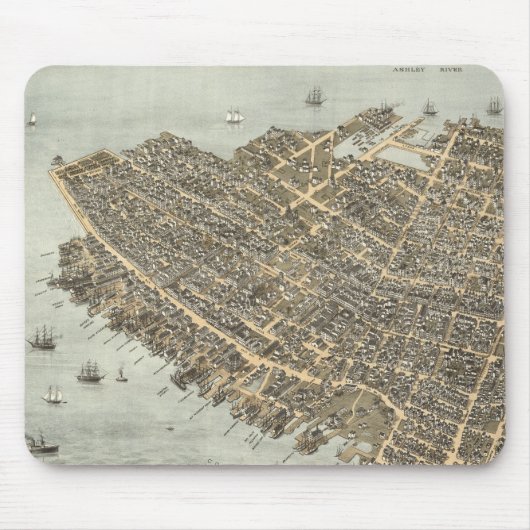 チャールストン(1872年)のヴィンテージの絵解き地図 マウスパッド (正面)