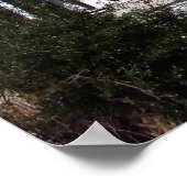 チャールストンSCのキャノンパークを見下ろす ポスター (角)