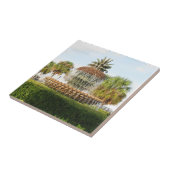 チャールストンSCのパイナップル噴水、水辺地帯公園 タイル (側面)