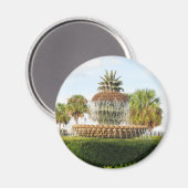 チャールストンSCパイナップルファウンテンウォーターフロントパーク マグネット (正面/裏面)