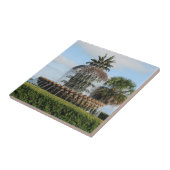 チャールストンSCパイナップルファウンテンタイル タイル (側面)