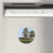 チャールストンSCパイナップルファウンテンマグネット マグネット (インサイチュ (食洗機))