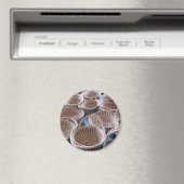 チャールストンSC Sweetgrassバスケット磁石 マグネット (インサイチュ (食洗機))