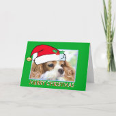 チャールズクリスマス無頓着な王スパニエル犬カード シーズンカード (正面)