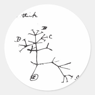 チャールズダーウィン考え- I （黒） ラウンドシール