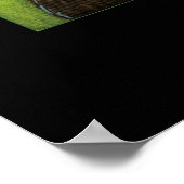 チャールズダーウィン ポスター (角)