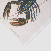 チャールズデッサリンズドルビニー |クリムゾン・クロフィッシュ 薄葉紙 (詳細)