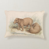 チャールズハミルトンスミスザカピバラ アクセントクッション (裏面)