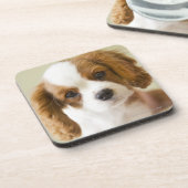 チャールズ王スパニエル犬の子犬のポートレート コースター (左側)