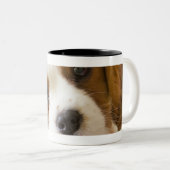 チャールズ王スパニエル犬の子犬のポートレート ツートーンマグカップ (正面右)