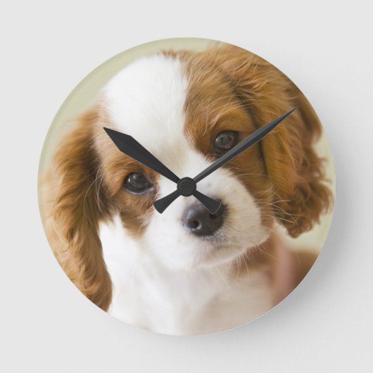 チャールズ王スパニエル犬の子犬のポートレート ラウンド壁時計 (正面)