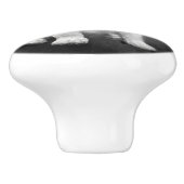 チャールズ王スパニエル犬の騎士の子犬 セラミックノブ (側面)