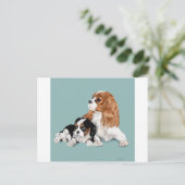 チャールズ王 ポストカード (スタンド正面)