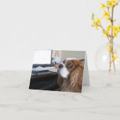 チャールズ金曜日オフィスの無頓着な王スパニエル犬 カード (黄色い花)