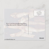 チャールズ5世のポートレートとティティツィアの犬 ポストカード (裏面)