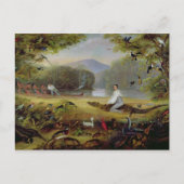 チャールズ・ウォータートンがケイマンを捕獲， 1825-26 ポストカード (正面)