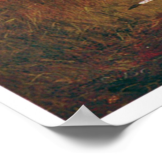 チャールズ・デアス1845年のスー族の集団 ポスター (角)