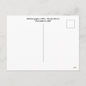 チャールズ・マーティンファッション シーズンポストカード (裏面)