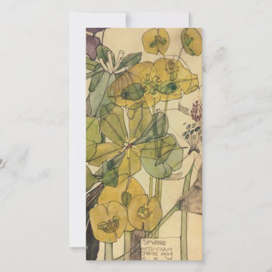 チャールズ·レニー·マッキントッシュ- Spurge With Yham 1909 シーズンカード (正面)