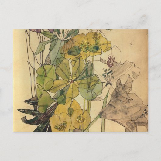 チャールズ·レニー·マッキントッシュ- Spurge With Yham 1909 シーズンポストカード (正面)