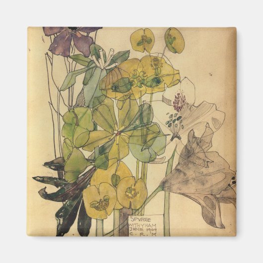 チャールズ・レニー・マッキントッシュ – Yham 1909でスパージ マグネット (正面)