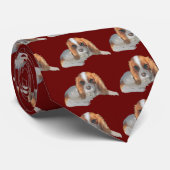 チャールズAbby私の美しく無頓着な王 ネクタイ (ロール)