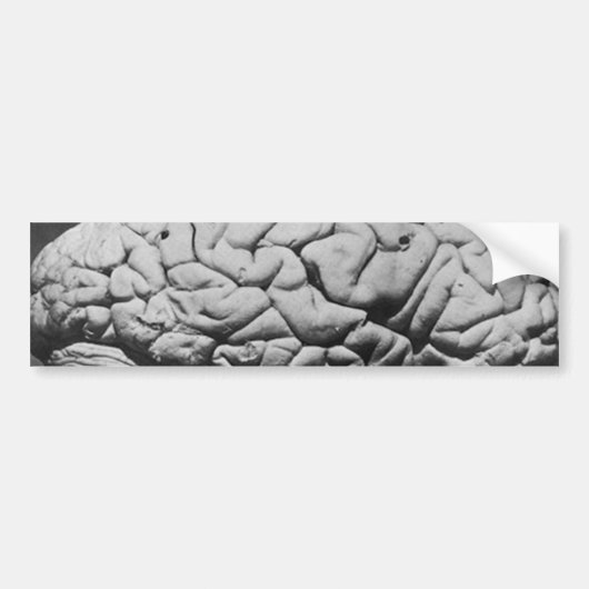 チャールズBABBAGE (1909年)の頭脳 バンパーステッカー (正面)
