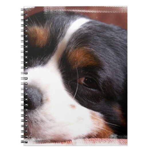 チャールズCavalier Notebook王 ノートブック (正面)