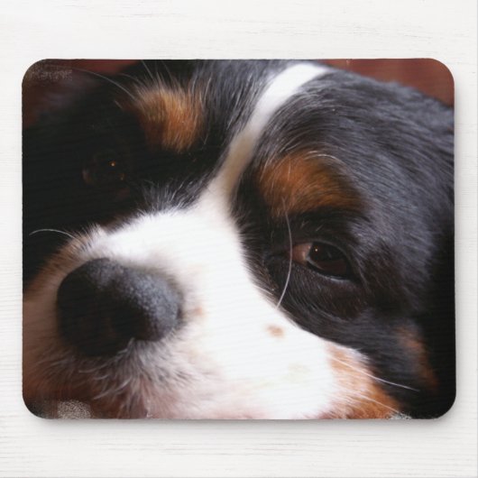 チャールズCavalier Spaniel王のマウスパッド マウスパッド (正面)