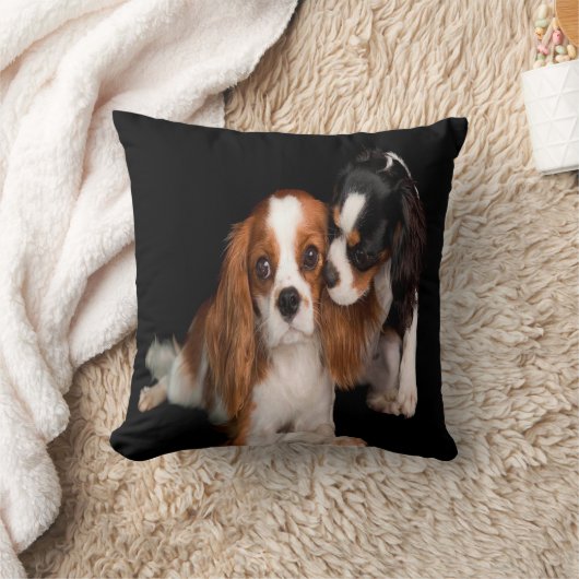 チャールズCavalier Spaniel王 クッション (ブランケット)