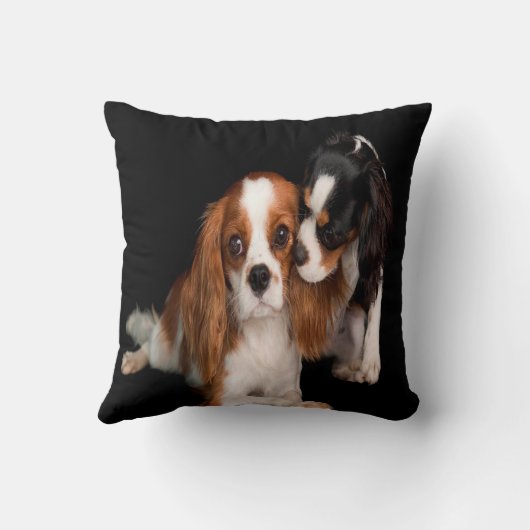 チャールズCavalier Spaniel王 クッション (裏面)