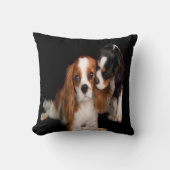 チャールズCavalier Spaniel王 クッション (正面)