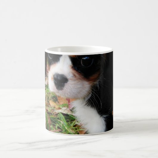 チャールズCavalier Spaniel Mug王 コーヒーマグカップ (中央)