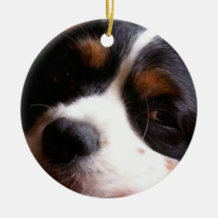 チャールズCavalier Spaniel Ornament王 セラミックオーナメント