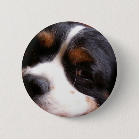 チャールズCavalier Spaniel Round王ボタン 缶バッジ (正面)