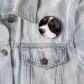 チャールズCavalier Spaniel Round王ボタン 缶バッジ (インサイチュ)