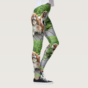 チャールズFriends Leggings Blenheimの無頓着な王 レギンス